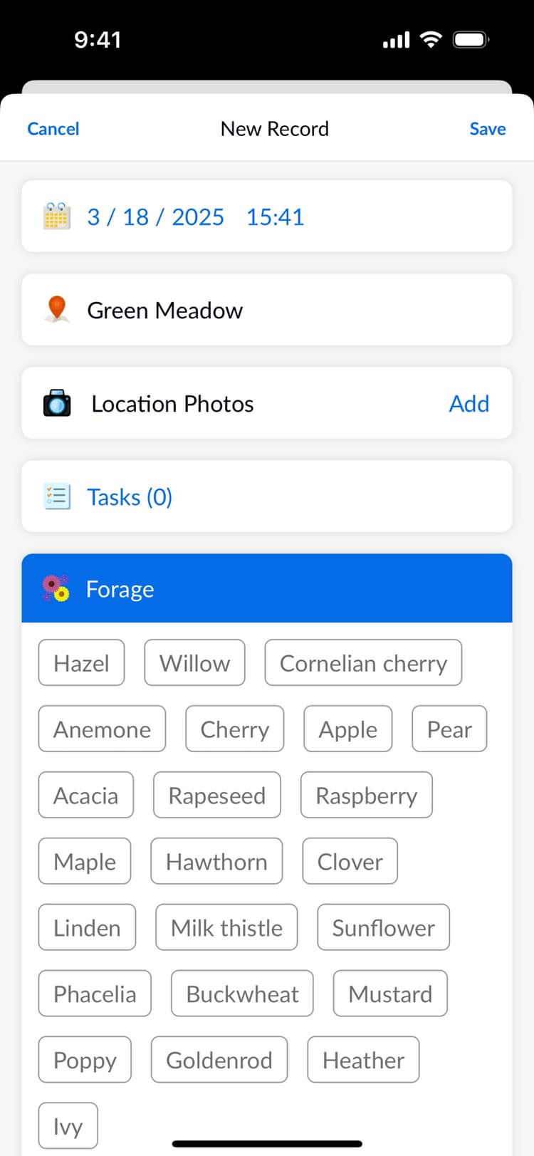 Beentry mobile record form preview