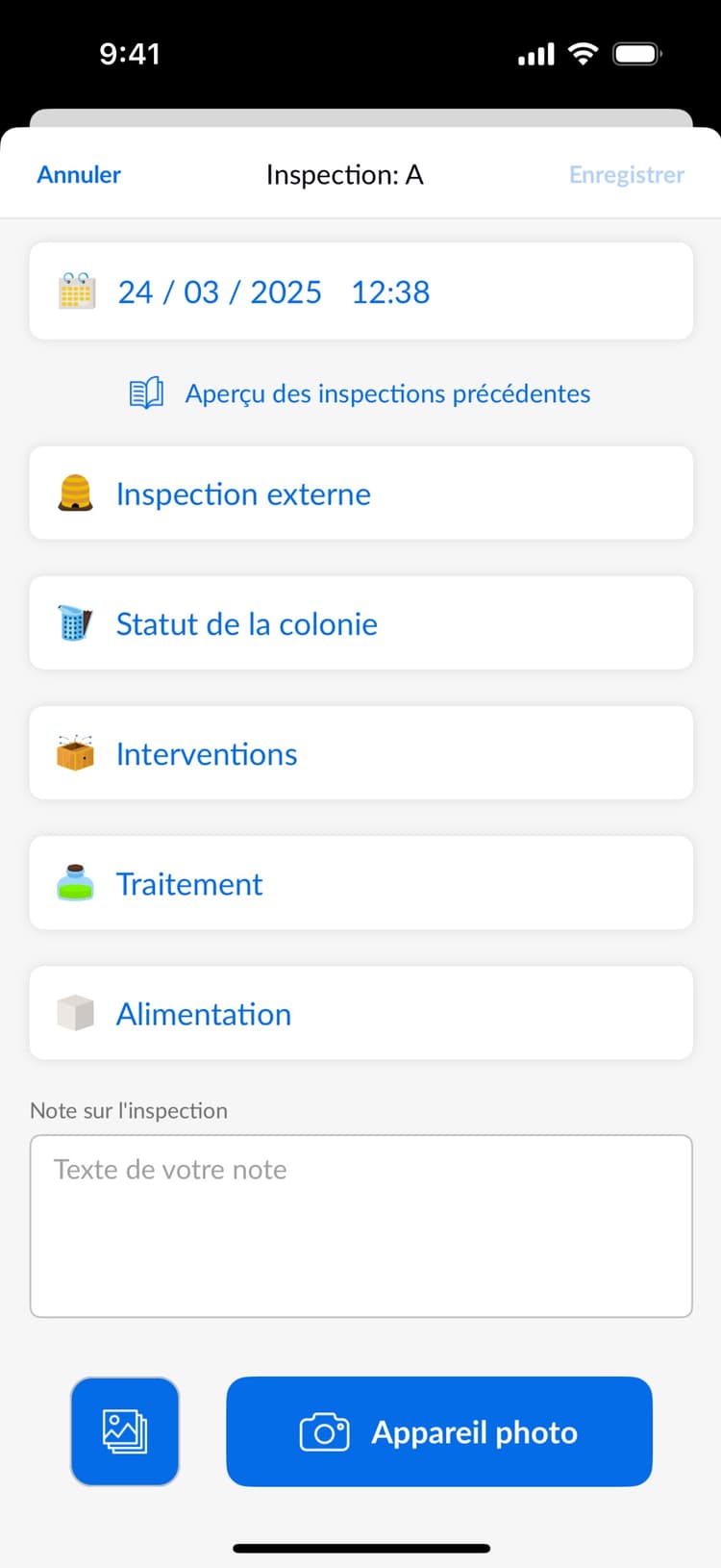 Beentry inspection workflow preview