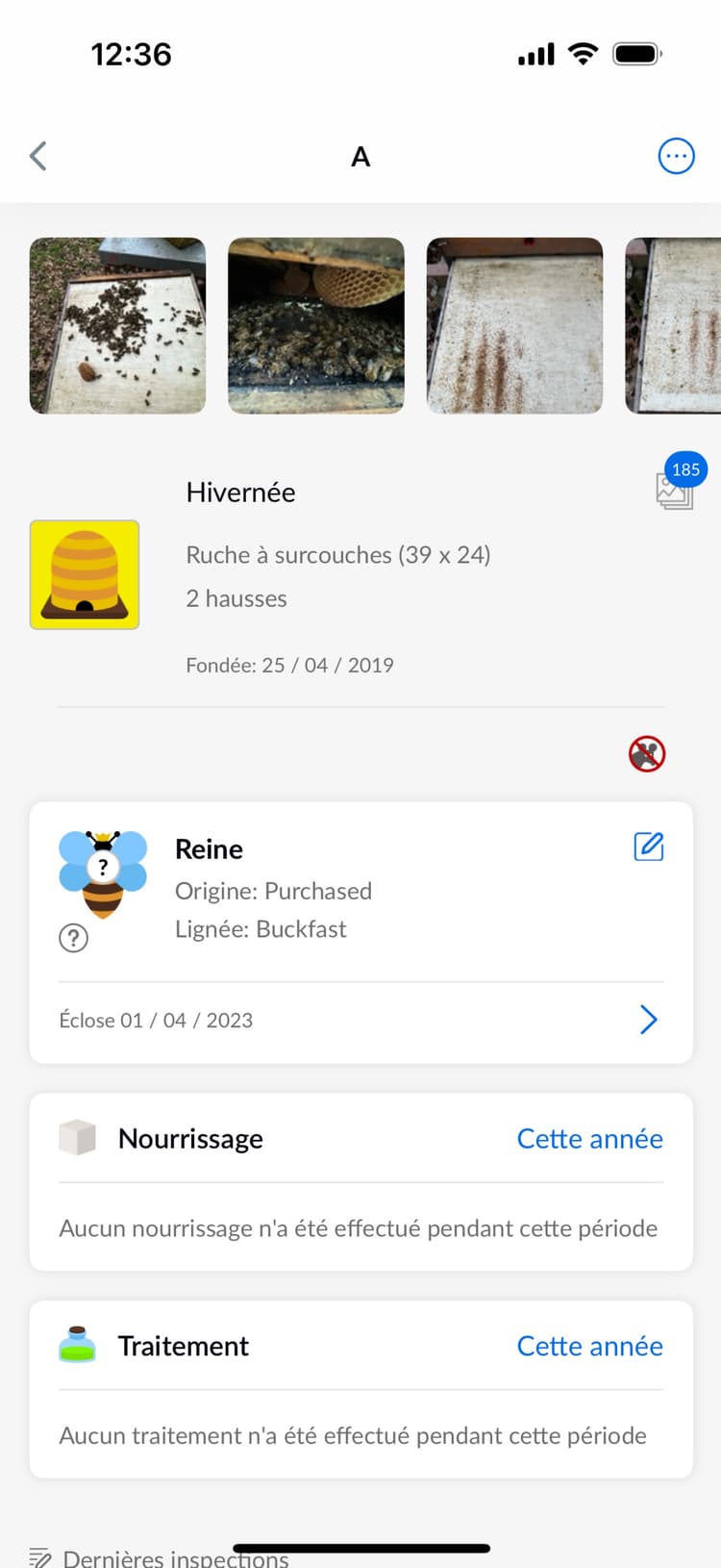 Beentry hive detail preview