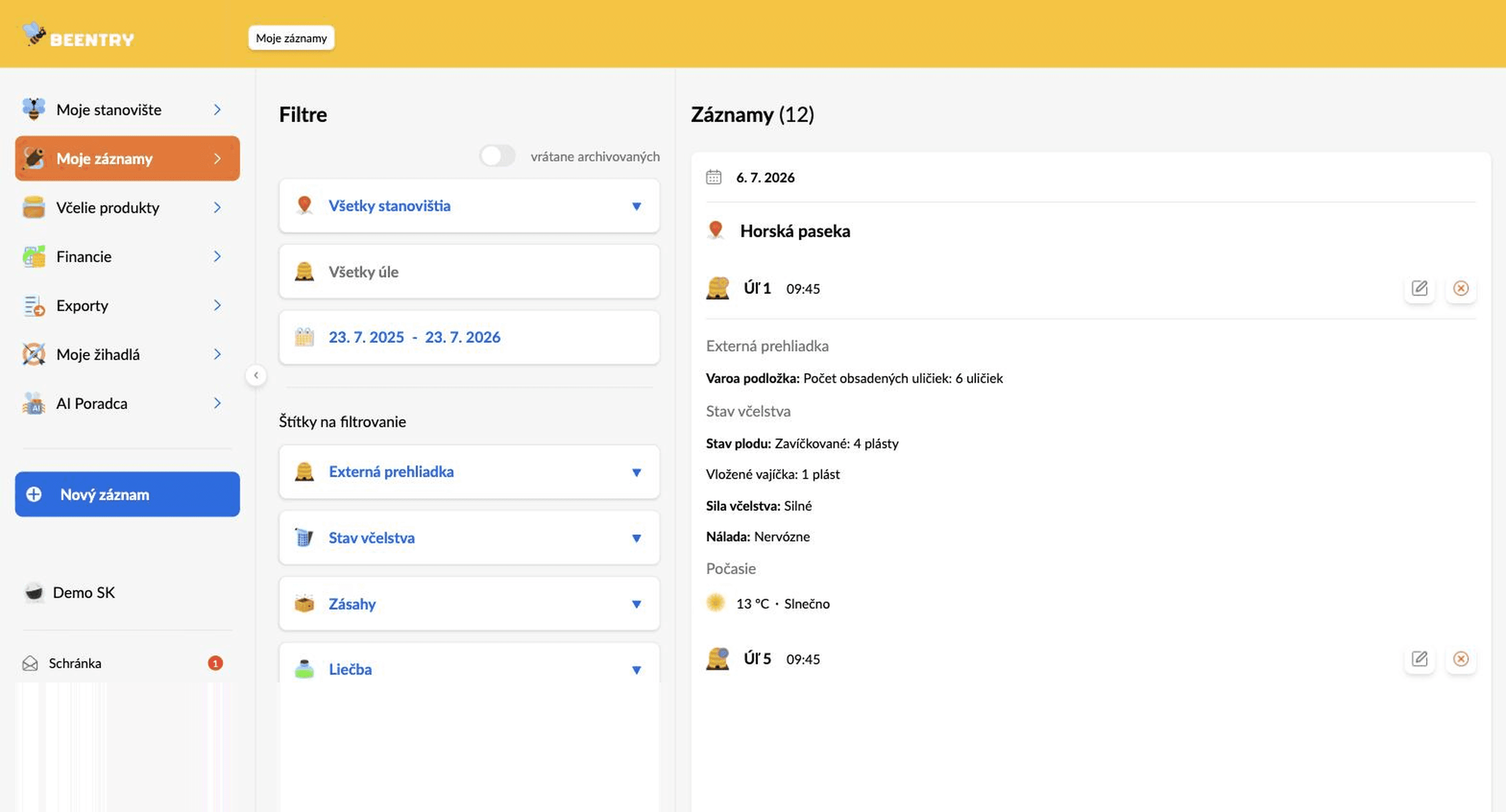 Beentry web application preview