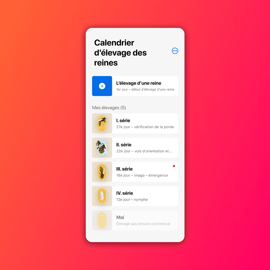 De l'œuf à la reine des abeilles