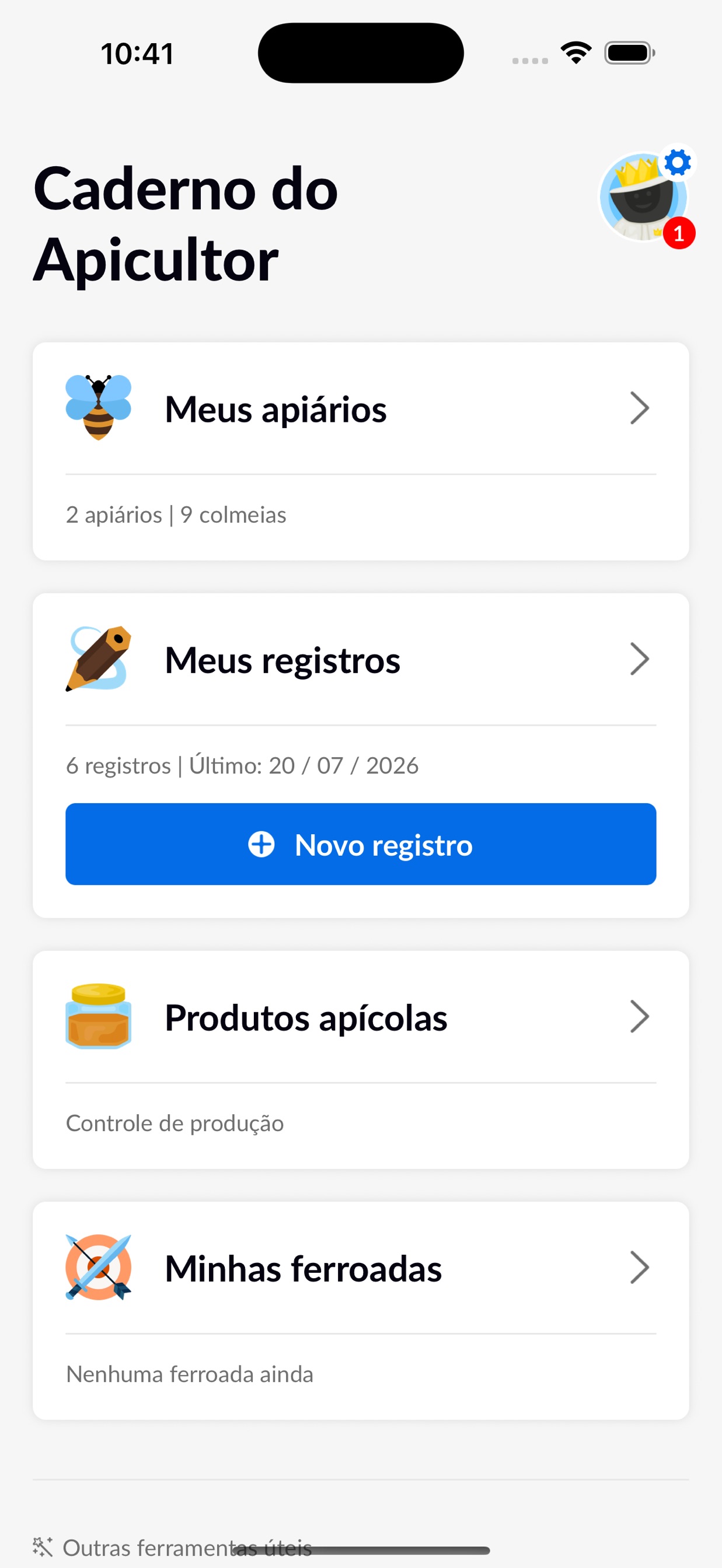 Aplicativo móvel Beentry, tela do aplicativo